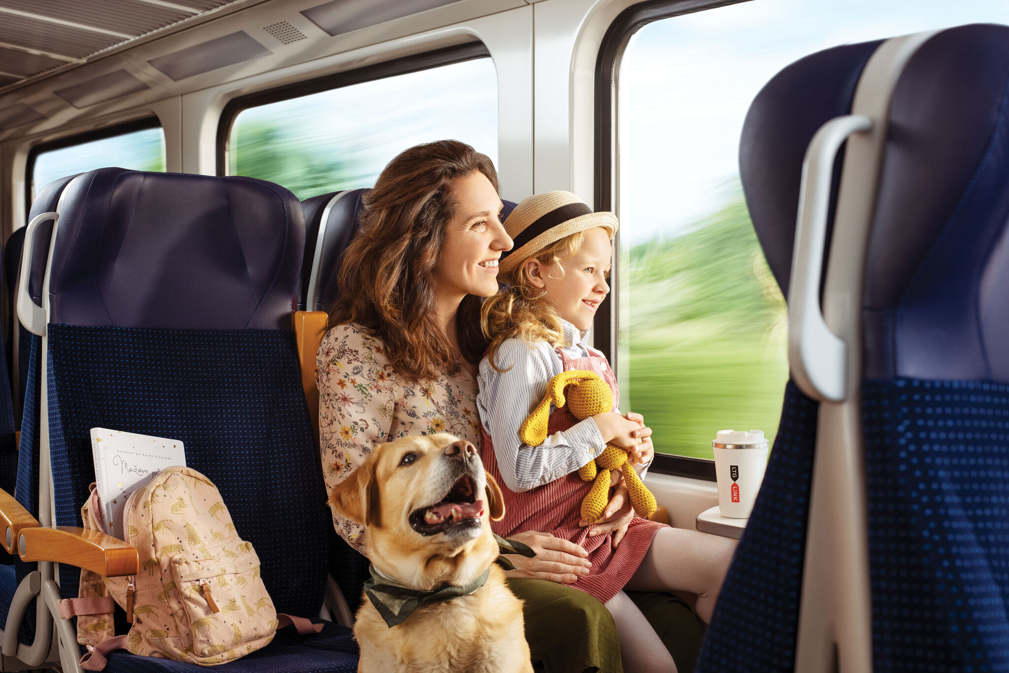 can dogs go on amtrak